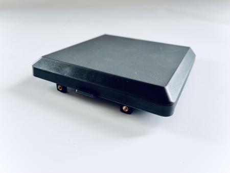 SP30006